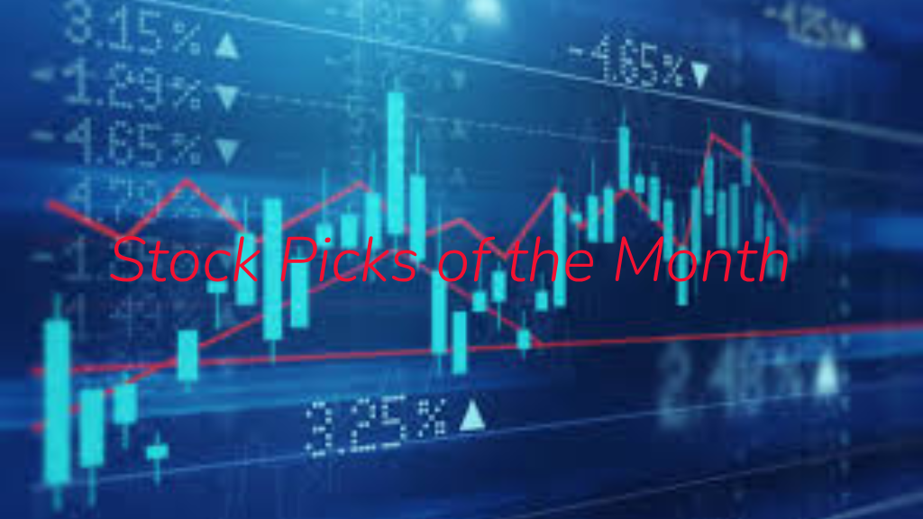 Stock Picks of the Month