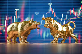 bear market vs bull market