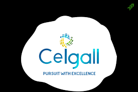 Ceigall India IPO