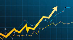 Zeel share price