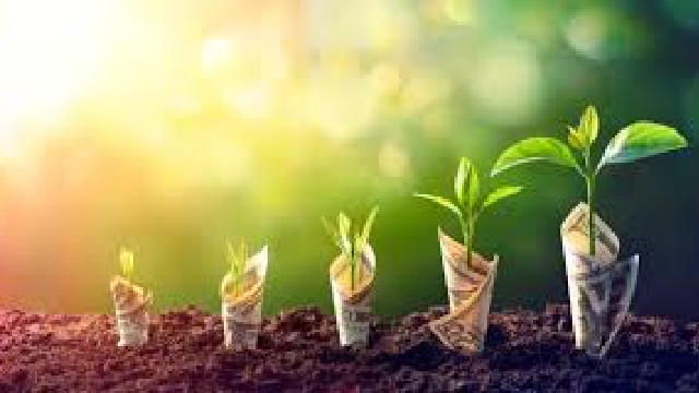 DMart Q2 business update