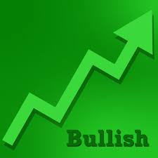 IREDA shares foreign investors stake