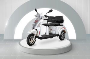 Tunwal E-Motors stock performance