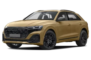 Audi Q8 launch