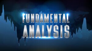 Fundamental analysis book