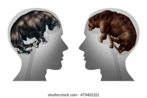 Psychology of stock market