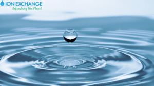 ION Exchange share price