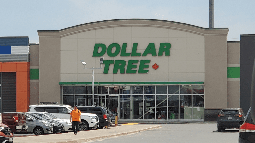 Dollar Tree stock drop