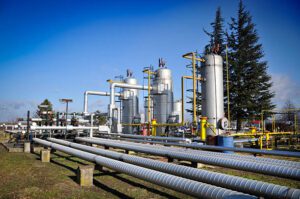 Adani shares surge