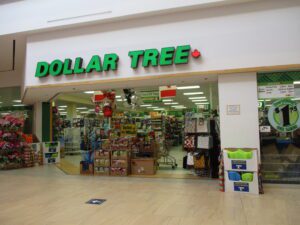 Dollar Tree stock drop