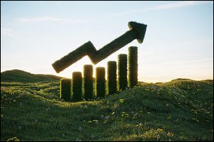 Nazara Technologies investment
