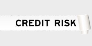 Debt fund credit risk