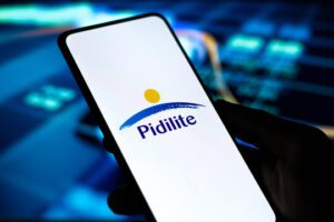 Pidilite Industries Q2 2024 Results