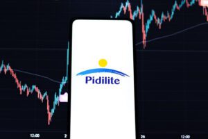 Pidilite Industries Q2 2024 Results