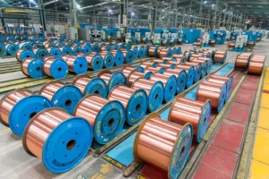 Polycab India Q2 results