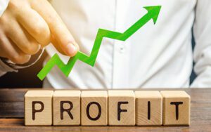 Elcid Investments stock price