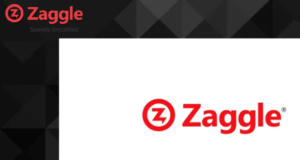 Zaggle stock performance
